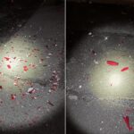 Man Detained for Damaging Chihuly Glass Art Valued at $240,000