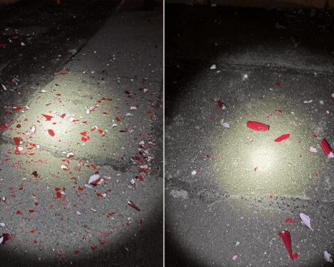 Man Detained for Damaging Chihuly Glass Art Valued at $240,000