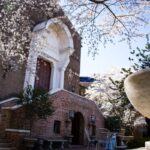 Call for Curator's Dismissal as Penn Museum Faces Criticism Over MOVE Bombing Victim's Remains