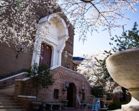 Call for Curator's Dismissal as Penn Museum Faces Criticism Over MOVE Bombing Victim's Remains