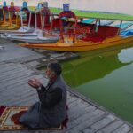 Exploring Art and Culture: From Ecological Portraits to Solo Outings