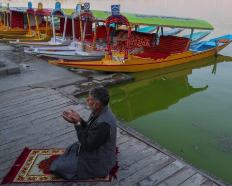 Exploring Art and Culture: From Ecological Portraits to Solo Outings