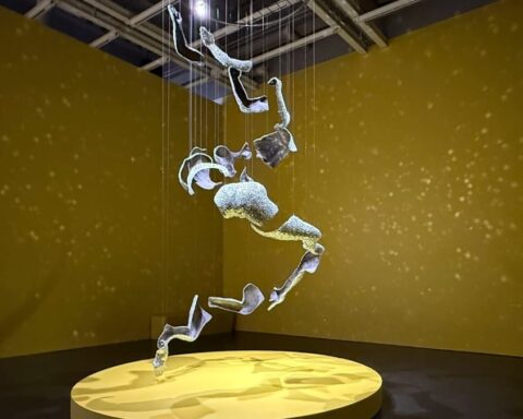 Anticipation Builds for Whitney Biennial Amid NYC Art Scene