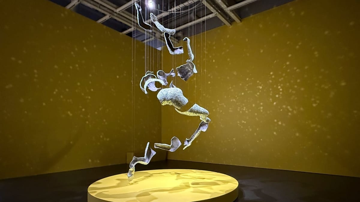 Anticipation Builds for Whitney Biennial Amid NYC Art Scene