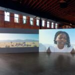 Guggenheim Fellowship Honors 233 Recipients