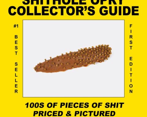 Nate Lippens Explores Derek McCormack’s Unconventional Catalogue