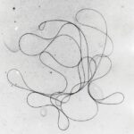 Bettina: The Enigmatic Artist of Chelsea Hotel's Geometric World