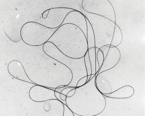 Bettina: The Enigmatic Artist of Chelsea Hotel's Geometric World