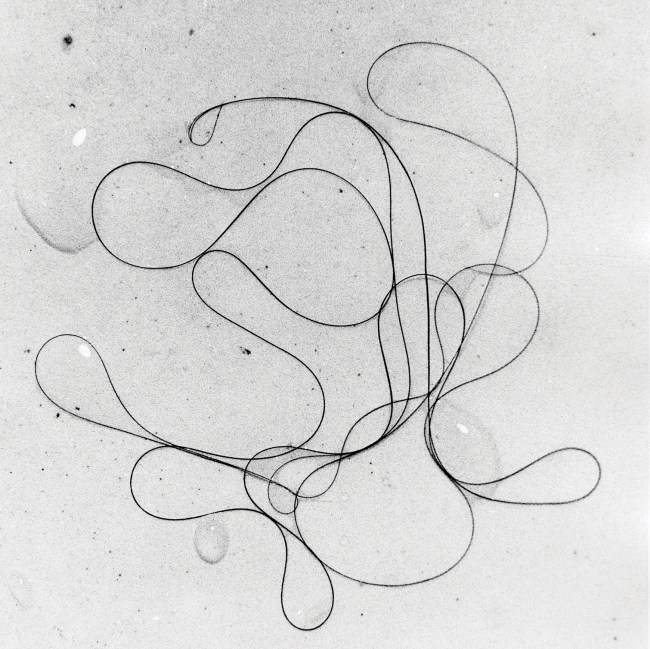 Bettina: The Enigmatic Artist of Chelsea Hotel's Geometric World