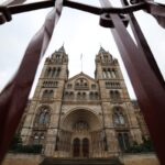 UK Museums House Over 260,000 Human Remains, Investigation Reveals