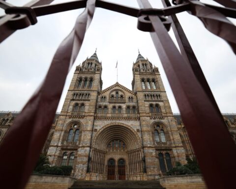 UK Museums House Over 260,000 Human Remains, Investigation Reveals