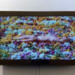 Exploring the Dual Nature of Latin America's Largest Art Fair