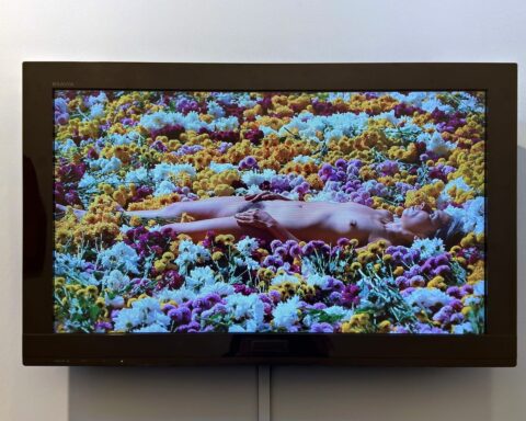 Exploring the Dual Nature of Latin America's Largest Art Fair