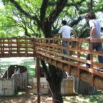 Exploring the Role of Biennials in Engaging Diverse Audiences