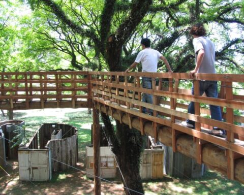 Exploring the Role of Biennials in Engaging Diverse Audiences