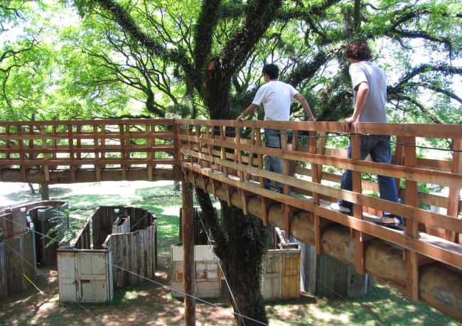 Exploring the Role of Biennials in Engaging Diverse Audiences