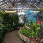 Wassan Al-Khudhairi Discusses the Delicate Balance for Hawai‘i Triennial 2025