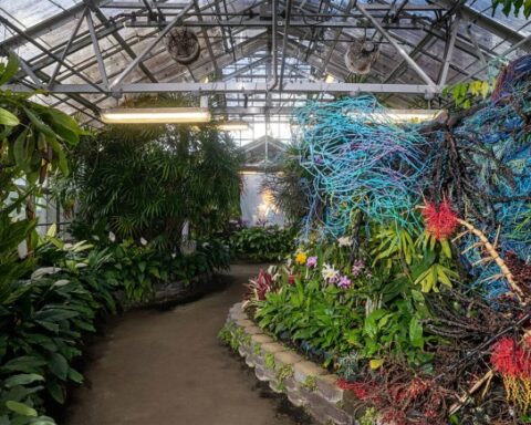 Wassan Al-Khudhairi Discusses the Delicate Balance for Hawai‘i Triennial 2025