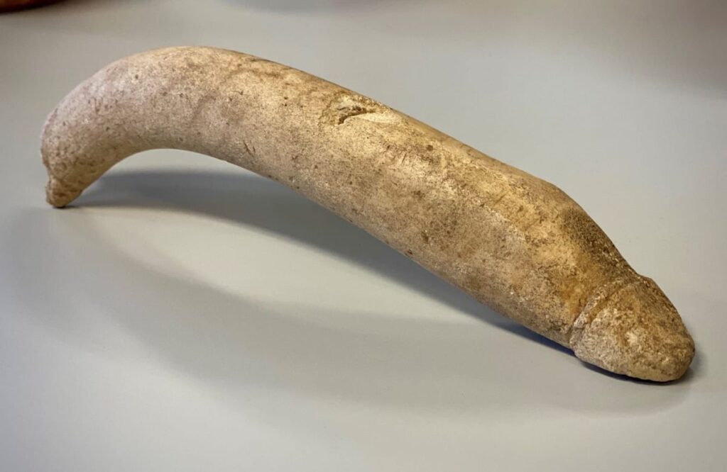 Ancient Roman Phallus Sculpture Found in Dutch Museum