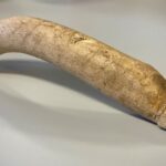 Ancient Roman Phallus Sculpture Found in Dutch Museum