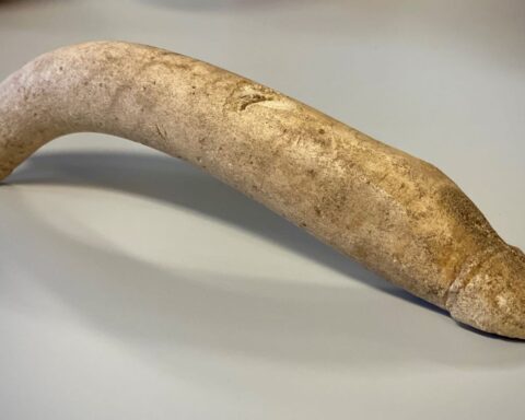 Ancient Roman Phallus Sculpture Found in Dutch Museum