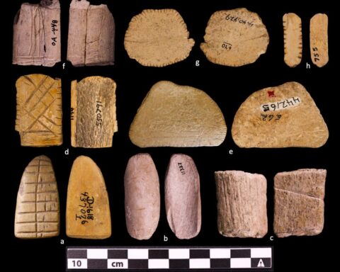 Ancient Dice Origin Traced Back 12,000 Years
