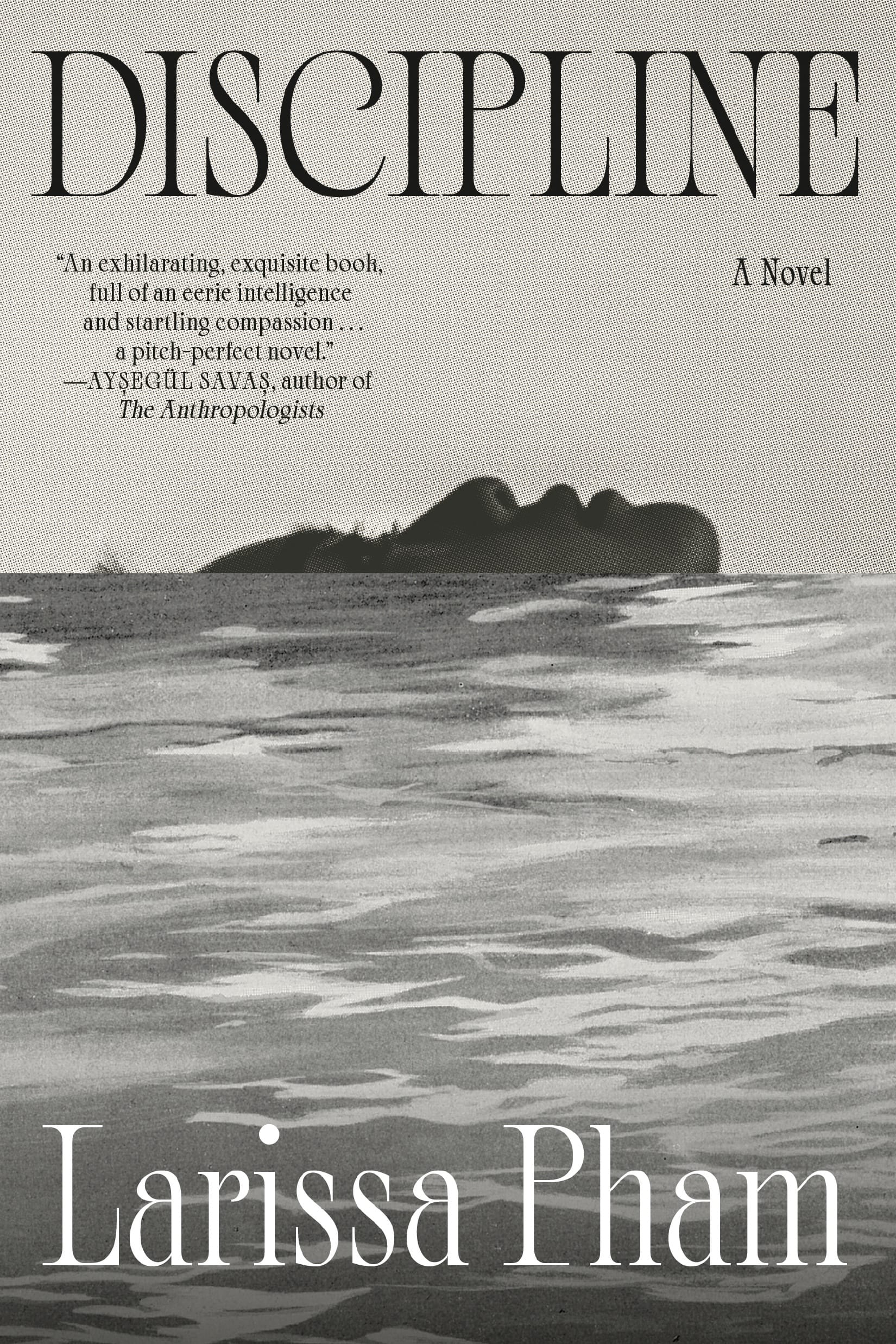 Larissa Pham's 'Discipline' Examines Manipulative Mentorship in the Art World