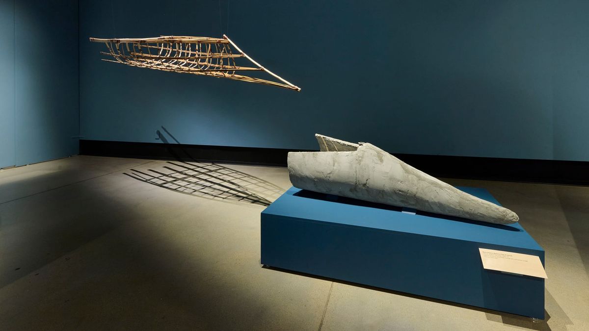 Parallax(e): Re-examining the Canada-US Border Through Art