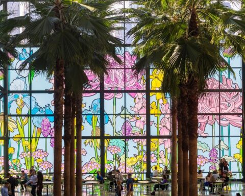 Graphic Rewilding's Vibrant Nature-Inspired Art Graces Brookfield Place