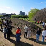 Jean Shin's Tribute to Brooklyn's Green-Wood Cemetery Trees