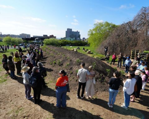 Jean Shin's Tribute to Brooklyn's Green-Wood Cemetery Trees