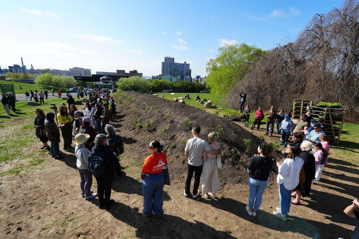 Jean Shin's Tribute to Brooklyn's Green-Wood Cemetery Trees