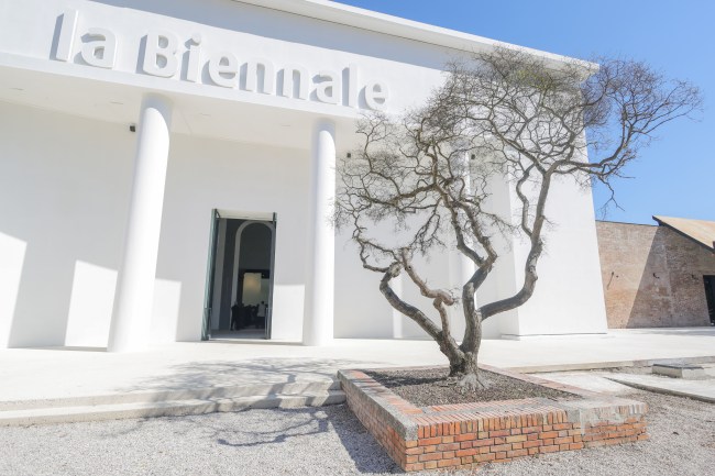 EU Withdraws 2028 Venice Biennale Funds Over Russian Involvement