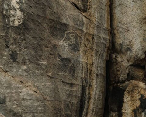 Train Route Altered in Mexico Due to Ancient Cave Art Find