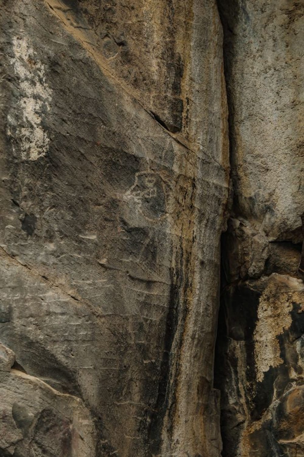 Train Route Altered in Mexico Due to Ancient Cave Art Find