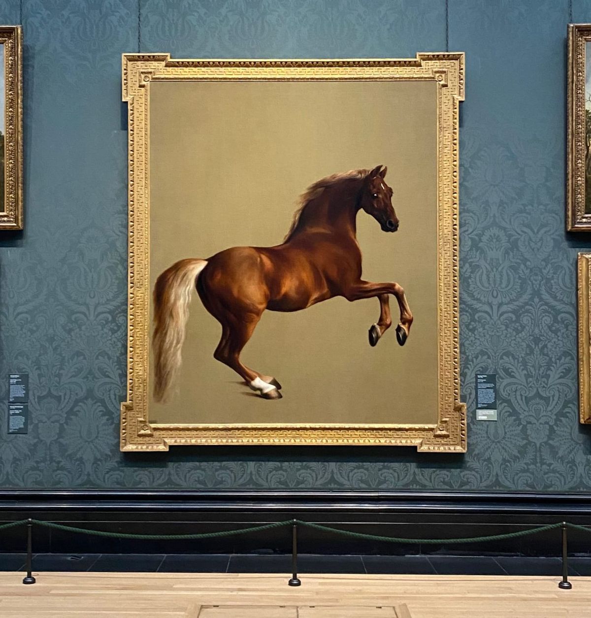 The Majestic Freedom of Whistlejacket