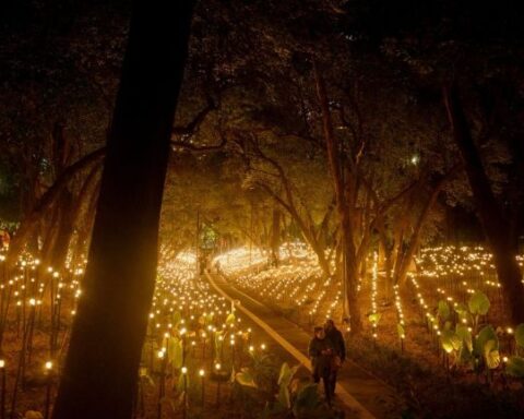 Exploring Decentralized Art at TONO Festival in Mexico City