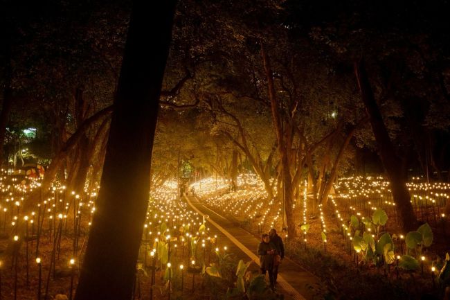 Exploring Decentralized Art at TONO Festival in Mexico City