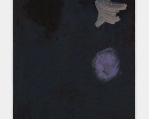 Exploring the Depths of Slow Observation in Art