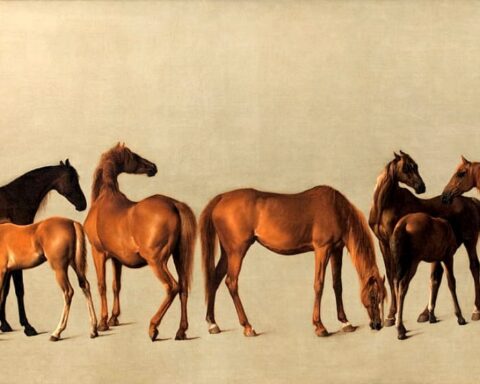 Top Racehorses Immortalized by George Stubbs