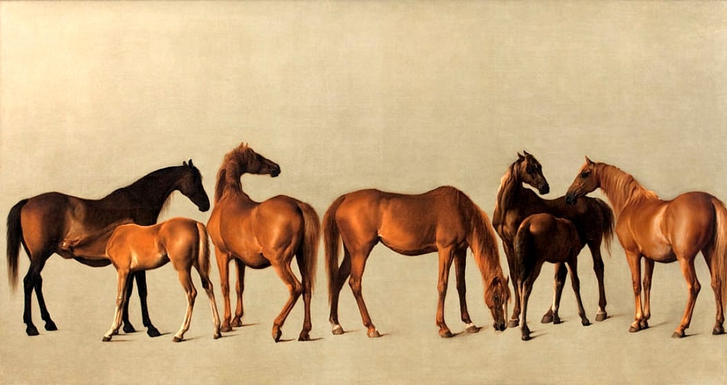 Top Racehorses Immortalized by George Stubbs