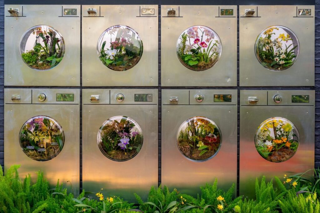 Inside the NY Botanical Garden's Vibrant Orchid Show