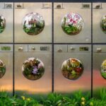 Inside the NY Botanical Garden's Vibrant Orchid Show