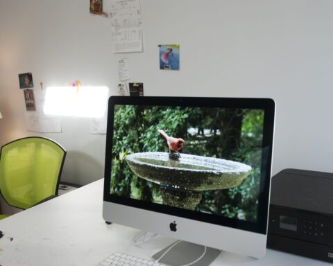 Inside the Creative Sanctuary of Kathleen MacKenzie