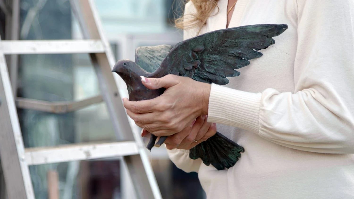 A Stolen Dove Takes Flight Once More