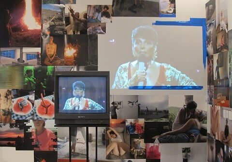 Critical Reduction: The 2014 Whitney Biennial Under Review