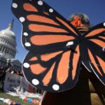 Trump Administration Targets the Smithsonian in Broadside