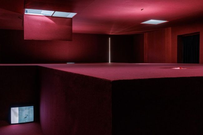 Renaissance Society Wins $45,000 Ellsworth Kelly Award from Foundation for Contemporary Arts