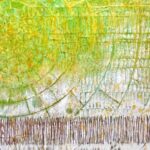 Melissa Melero-Moose Receives Walker Youngbird Foundation’s Emerging Native Arts Grant