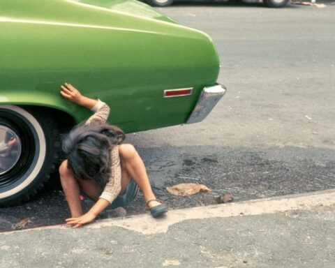 Photo Books for the Close of Summer